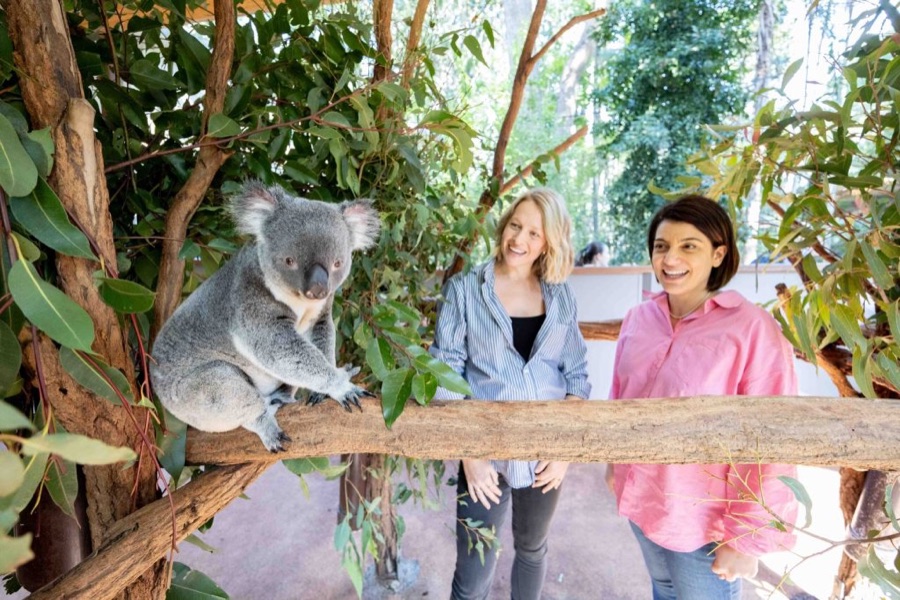 Lone Pine Sanctuary — a Brisbane venue catered by Garnishes